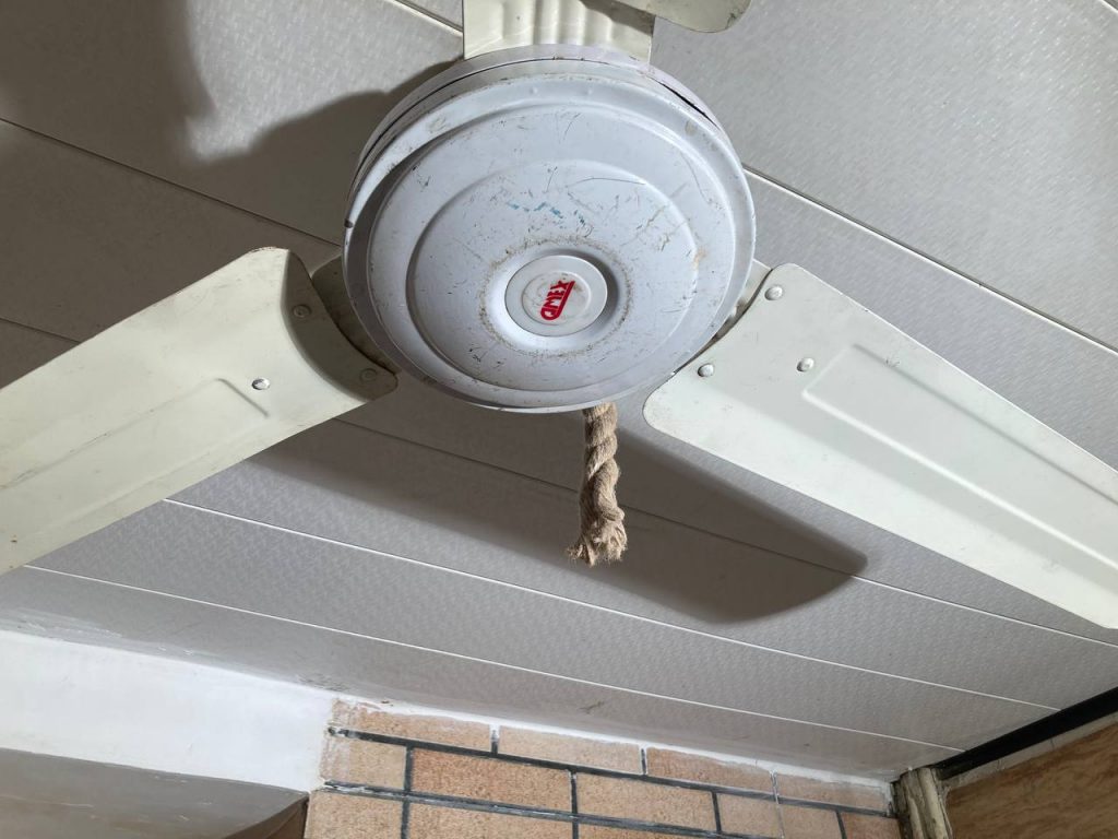 Installation view -detail